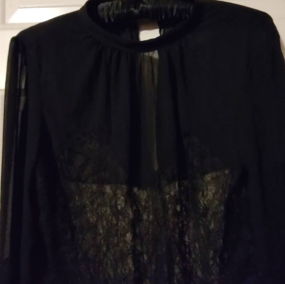 🐈⬛ Divine VS Vintage Victorian Inspired Black Sheer Crepe & Lace Blouse - L - Picture 13 of 15